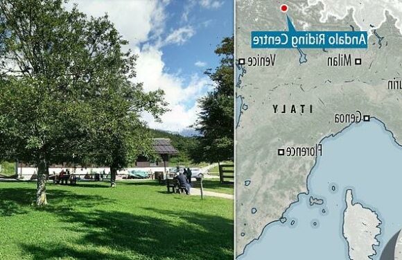 Boy in intensive care after he was hit by horse carriage in Italy