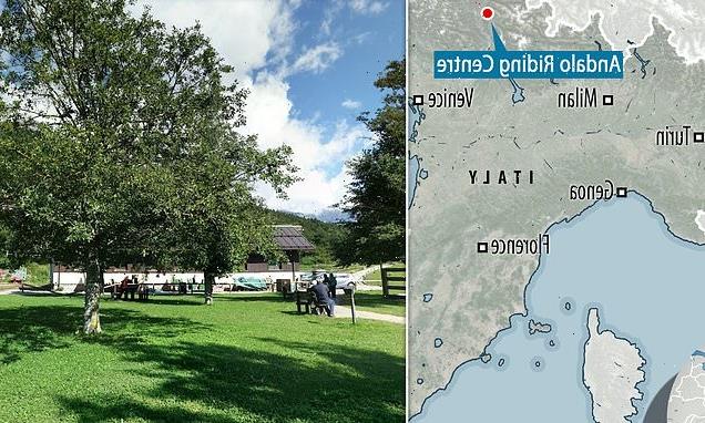 Boy in intensive care after he was hit by horse carriage in Italy