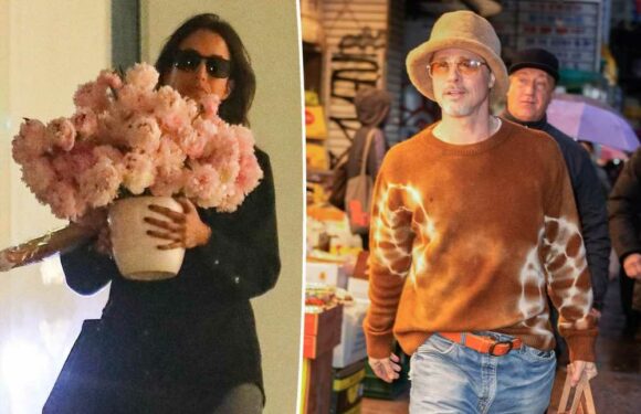 Brad Pitt reportedly sent Valentines Day flowers to Ines de Ramon