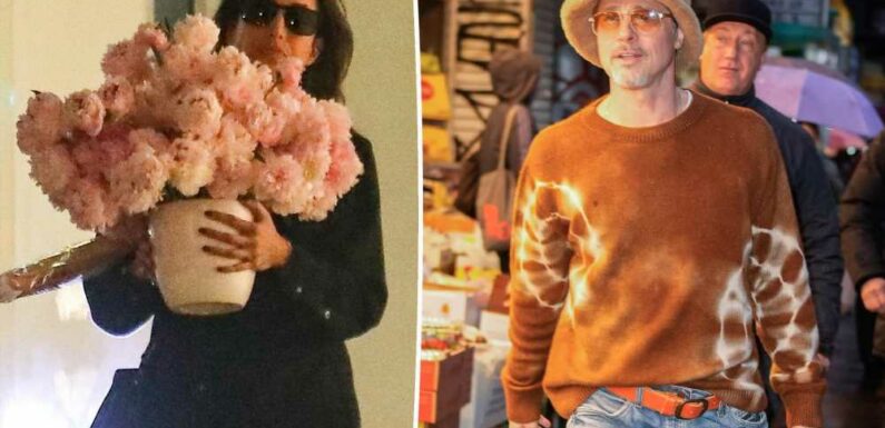 Brad Pitt reportedly sent Valentines Day flowers to Ines de Ramon