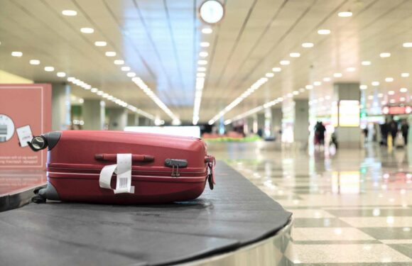 Brit husband collapses and dies while waiting for luggage with wife moments after getting off BA flight in South Africa | The Sun