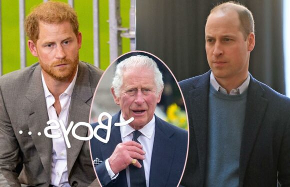 Buckingham Palace Is Trying To End Prince William's Feud With Prince Harry Before King Charles' Coronation, But…