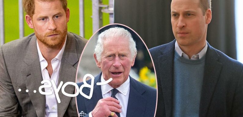 Buckingham Palace Is Trying To End Prince William's Feud With Prince Harry Before King Charles' Coronation, But…