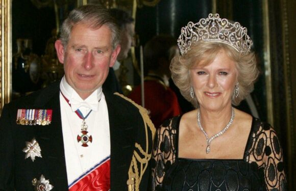 Camilla should ‘fashion something original’ at coronation – claims