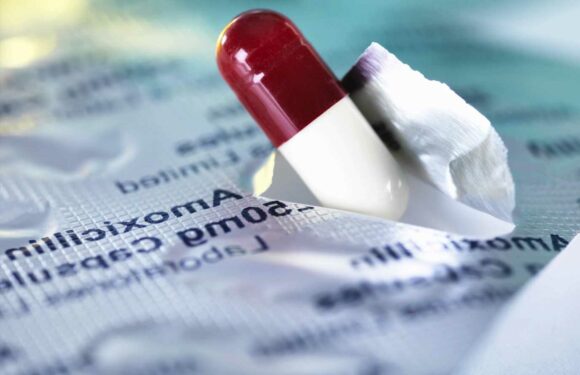 Can you buy antibiotics over the counter? | The Sun