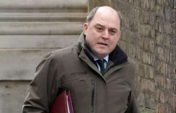 Cash for military will need to increase for next 20 YEARS, Defence Sec Ben Wallace suggests | The Sun