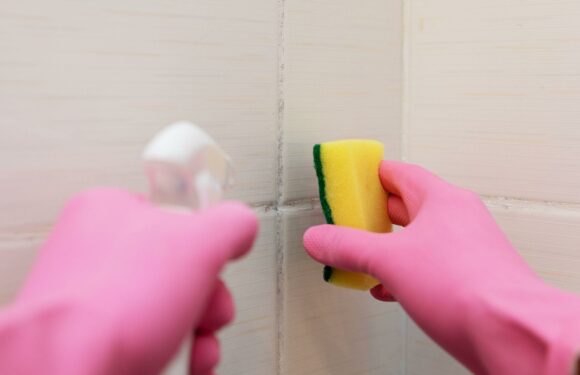 Cleaning whizz shares three ways to combat mould in your bathroom and they won’t cost you a penny either | The Sun