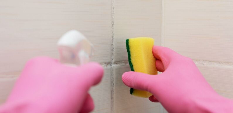 Cleaning whizz shares three ways to combat mould in your bathroom and they won’t cost you a penny either | The Sun