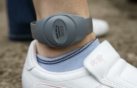 Criminals escape being fitted with electronic tags due to IT error