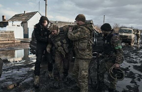 DAILY MAIL COMMENT: Make this Ukraine's last year of horror