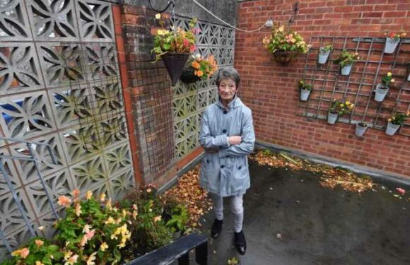 Developers forced me to pull up flowers that I've been growing for 48 years – I was devastated by the letter they sent | The Sun