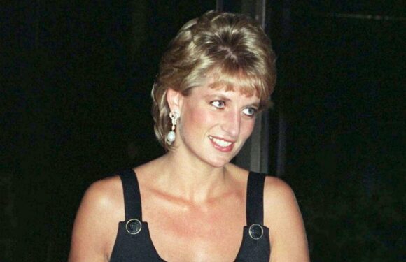 Diana knew ‘importance of dressing’ – would choose ‘bright colours’