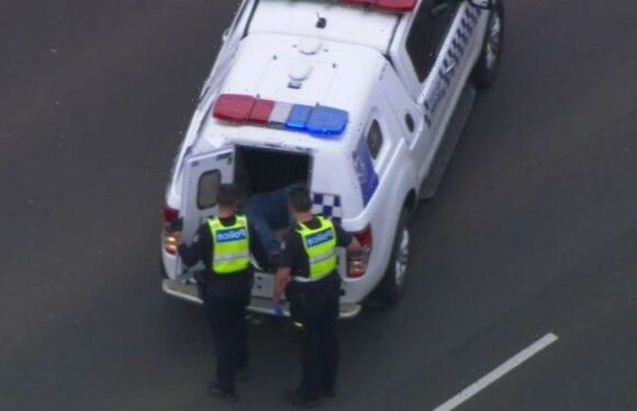 Driver freed from jail after sister suffered serious brain injury in Princes Freeway car fall