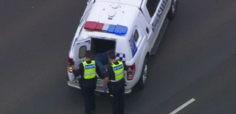 Driver freed from jail after sister suffered serious brain injury in Princes Freeway car fall