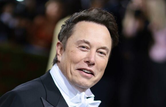 Elon Musk makes his Twitter account private – for a very strange reason