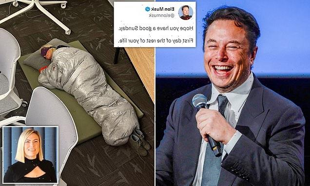Elon Musk sacks 200 MORE Twitter staff – including top lieutenant