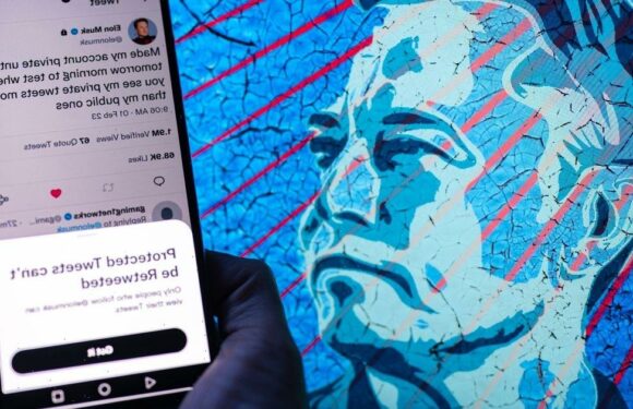 Elon Musk says he will ‘probably’ step down as Twitter CEO by the end of 2023