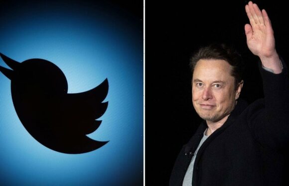 Elon Musk tells people to enjoy ‘the rest of their life’ after sacking 200 staff