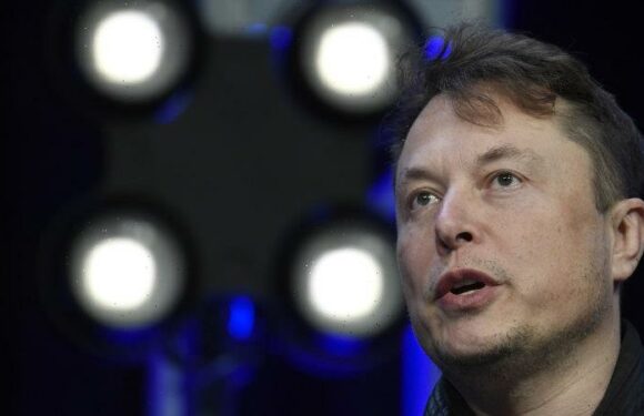 Elon Musk to open up Twitter’s algorithm to public