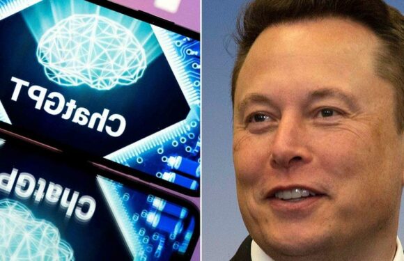 Elon Musk warns Microsoft’s ‘unhinged’ AI could ‘go haywire and kill everyone’