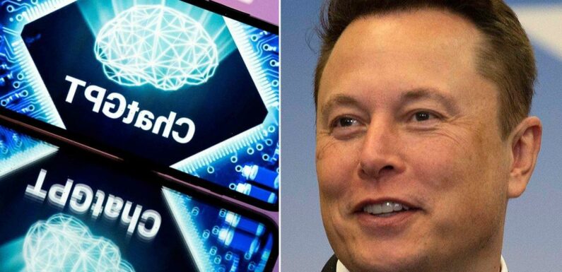 Elon Musk warns Microsoft’s ‘unhinged’ AI could ‘go haywire and kill everyone’