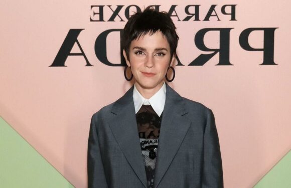 Emma Watson reads Mein Kampf in deepfake audio