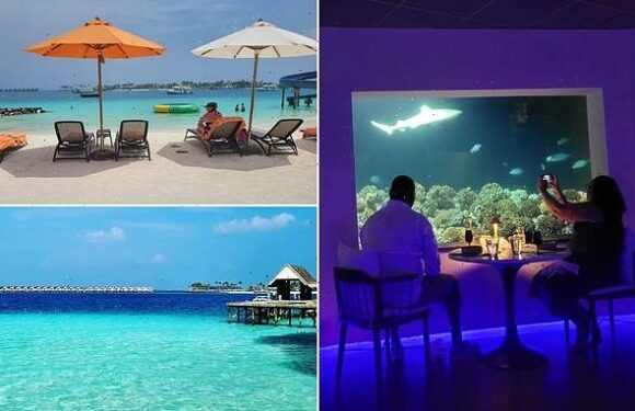 Energy firm's staff pictures from £600-a-night Maldives resort