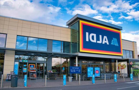 Exact date Aldi bargain air fryer is back in stores and online revealed | The Sun