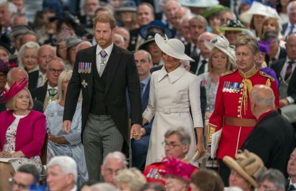 Express: The Sussexes’ Chubbly appearance will be ‘meticulously crafted’
