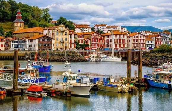 Female teacher is stabbed to death by student during class in France