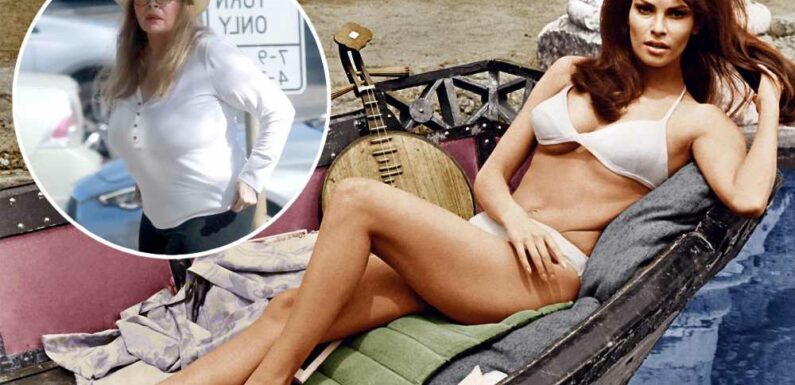 Former sex symbol Raquel Welch spotted for first time in over 2 years