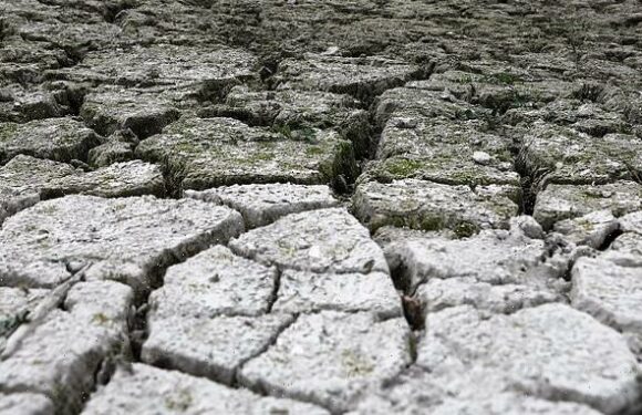 France eyes 'unprecedented' water curbs after driest winter since 1959