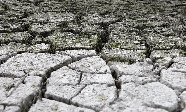 France eyes 'unprecedented' water curbs after driest winter since 1959