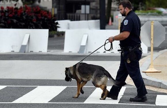 Fury as new bill proposes banning California's 'racist' police dogs