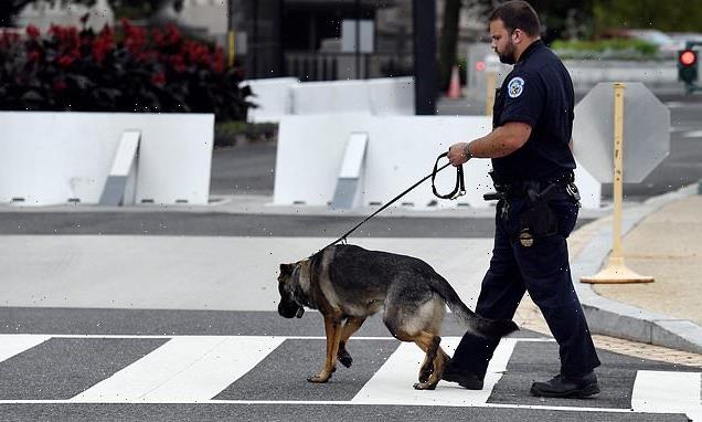 Fury as new bill proposes banning California's 'racist' police dogs
