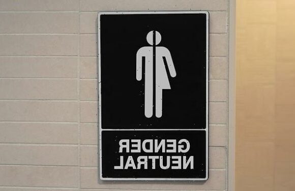 Gender-neutral toilet 'was more favourable to men' says judge