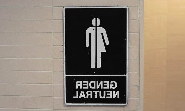 Gender-neutral toilet 'was more favourable to men' says judge
