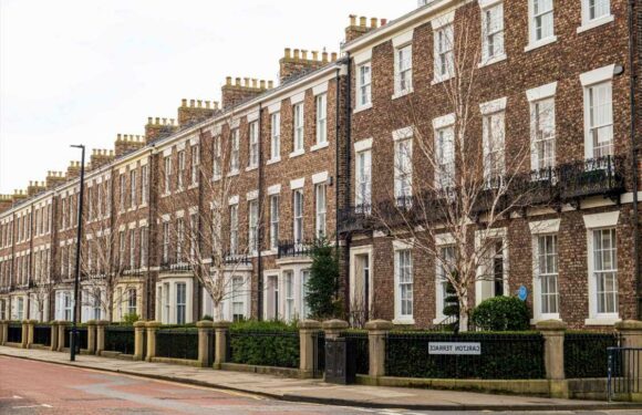 Geordies are the most house proud in UK – but where does YOUR city rank in the top 10? | The Sun