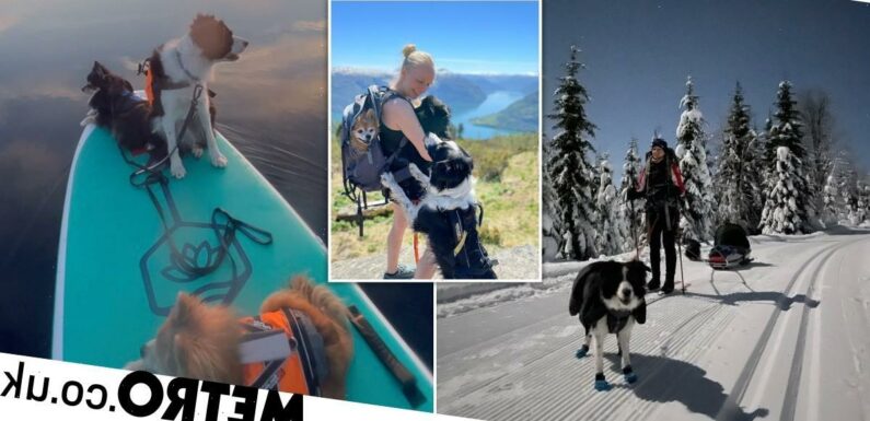 Globe-trotting dogs join owner on adventures – even skiing together