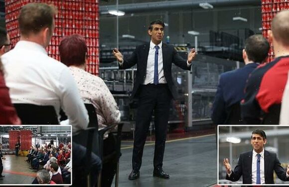 HENRY DEEDES: Rishi Sunak looked like he had won the lottery