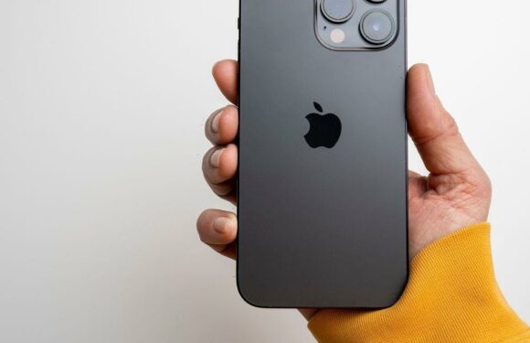 Handy iPhone picture feature means you’ll never have to edit your photos again