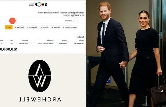 Harry and Meghan's Archewell Foundation got $10m from mystery donor