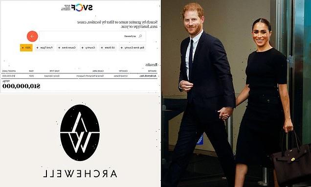 Harry and Meghan's Archewell Foundation got $10m from mystery donor