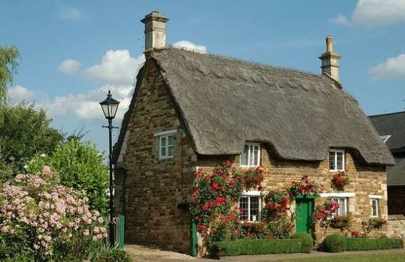 Homes with straw roofs have more appeal thanks to eco credentials