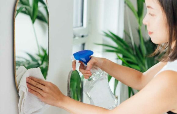 How to clean mirrors and windows without streaks | The Sun