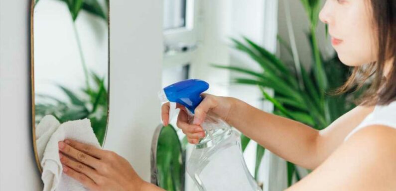 How to clean mirrors and windows without streaks | The Sun