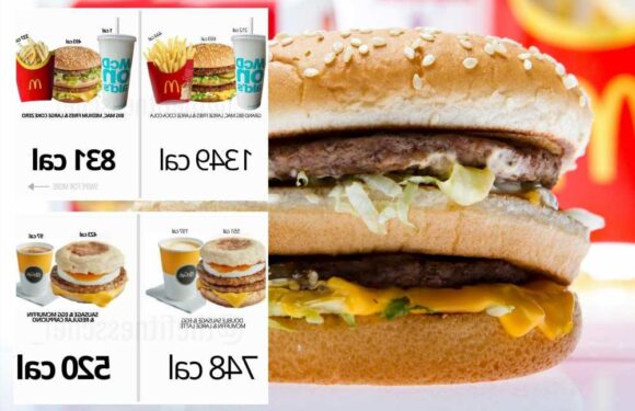 How to slash 1,000 calories from your favourite McDonald's, KFC and Burger King orders | The Sun