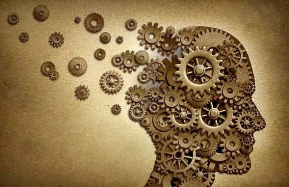 How to tell if memory lapses are normal – or a sign of Alzheimer's