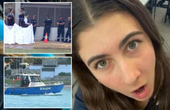 Huge shark attack update as major missed warning sign that could have saved girl killed by great white is revealed | The Sun