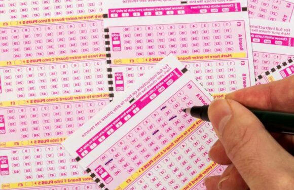 I almost ignored £90,000 winning lottery email because I thought it was a scam – winning feels incredible | The Sun